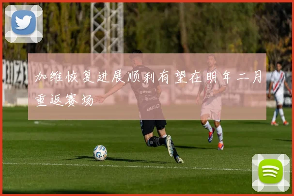 加维恢复进展顺利有望在明年二月重返赛场