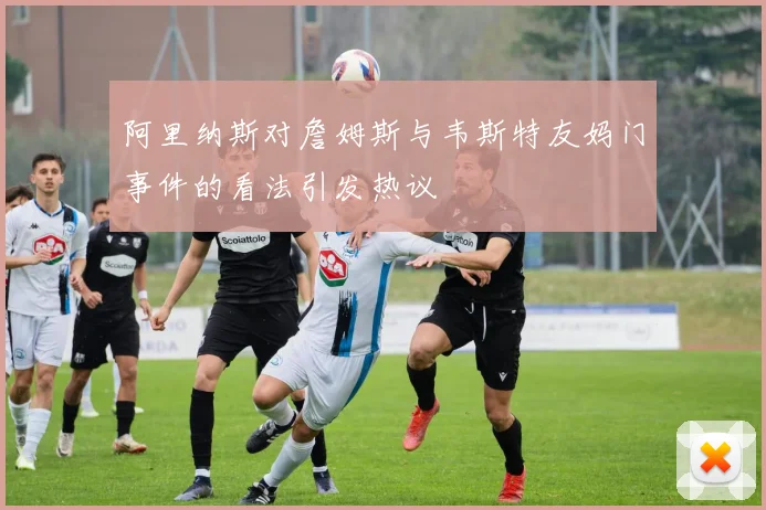 阿里纳斯对詹姆斯与韦斯特友妈门事件的看法引发热议