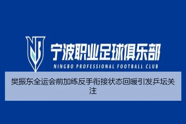 樊振东全运会前加练反手衔接状态回暖引发乒坛关注(jiuyou)